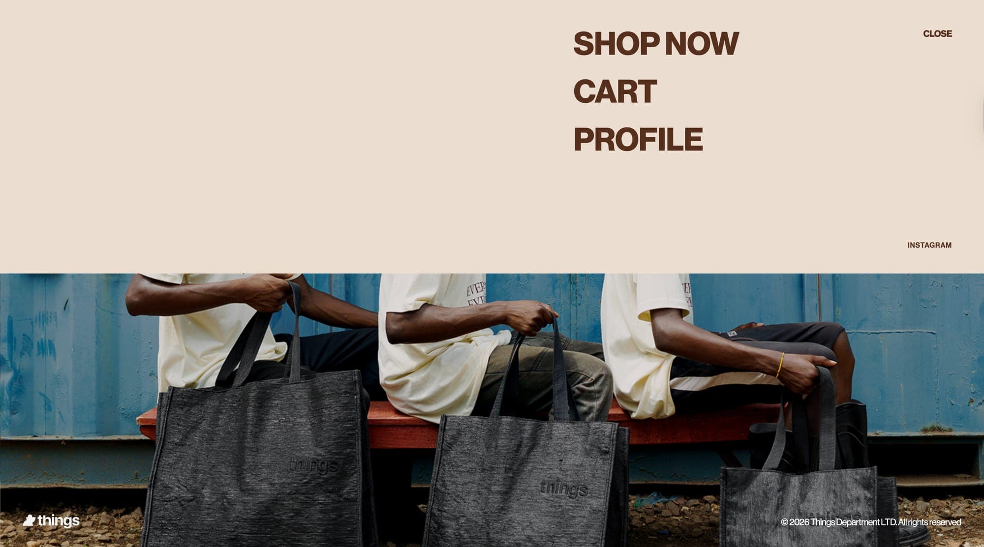 Things merchant dashboard with sales overview.